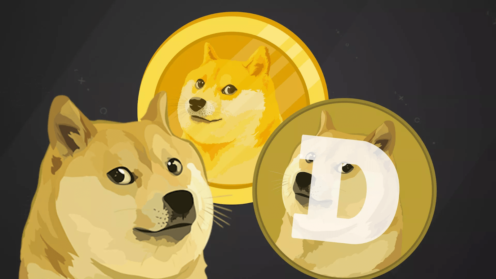 Binance.US добавляет поддержку Dogecoin