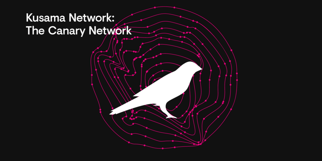 Kusama Network (KSM) - Обзор тестовой сети для Polkadot